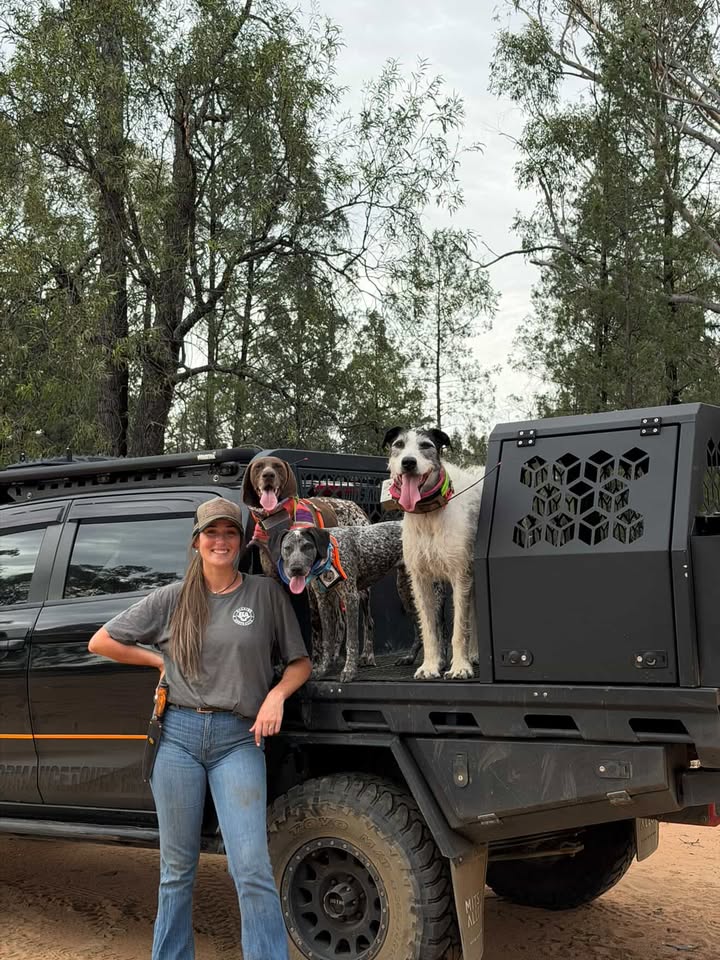 Liv with all three of her dogs on the ute
