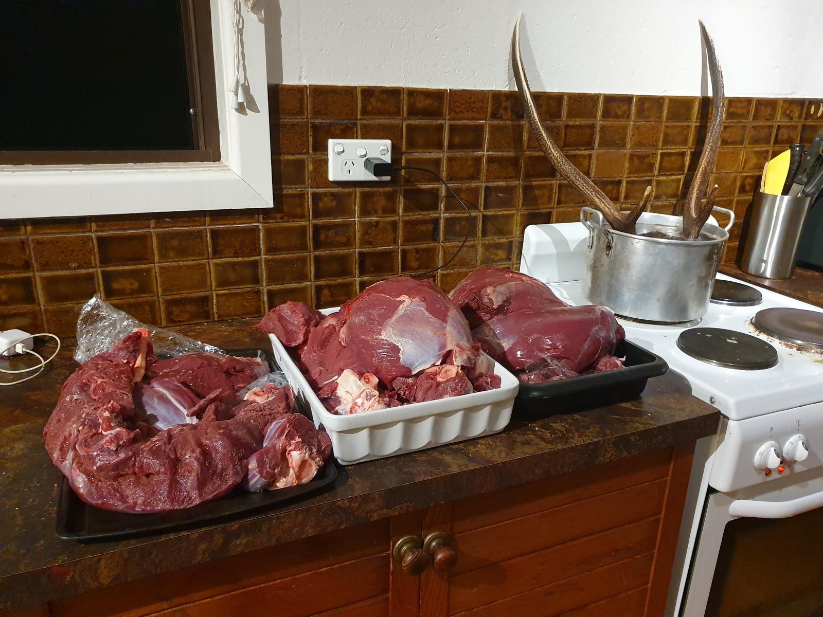 Trays of venison on the kitchen bench after a successful hunt