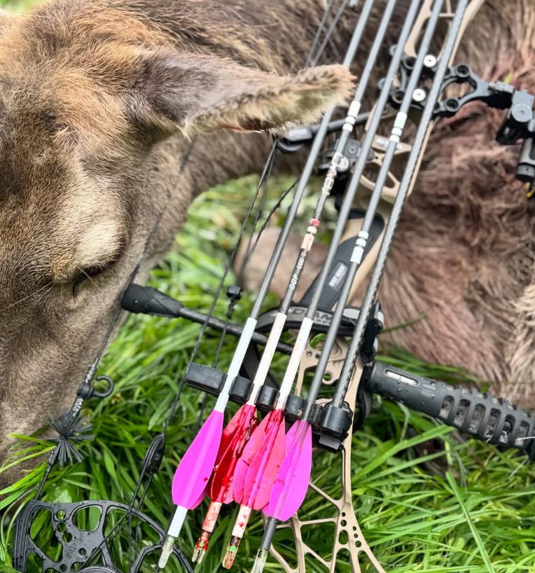 Nadine’s bow and pink-fletched arrows