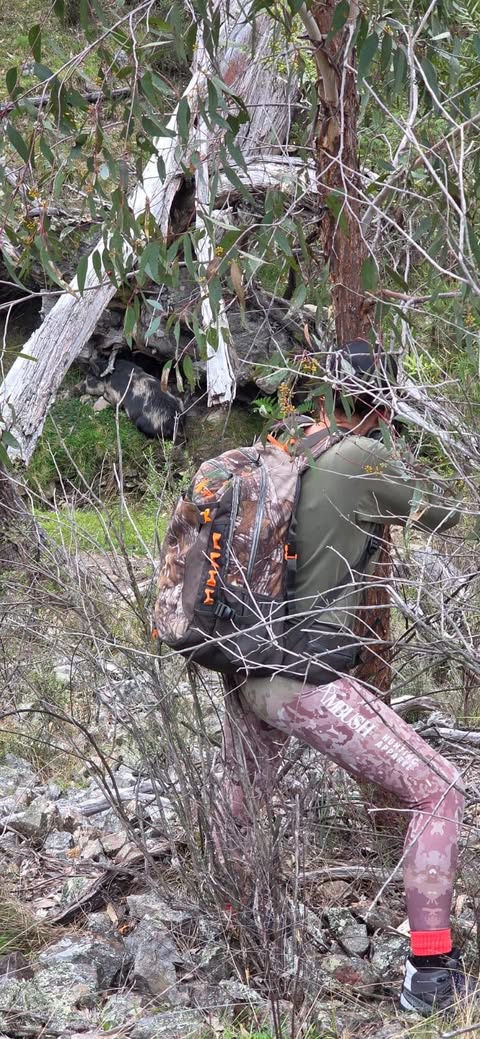 Gaby in pink camo Ambush leggings packing out an animal through eucalyptus scrub
